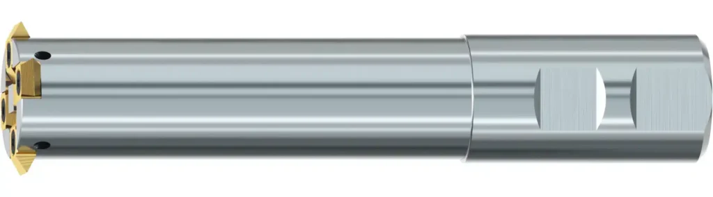 3D_Gigant-ic-Gr_12-13-IKZN-B-TIN-2-1