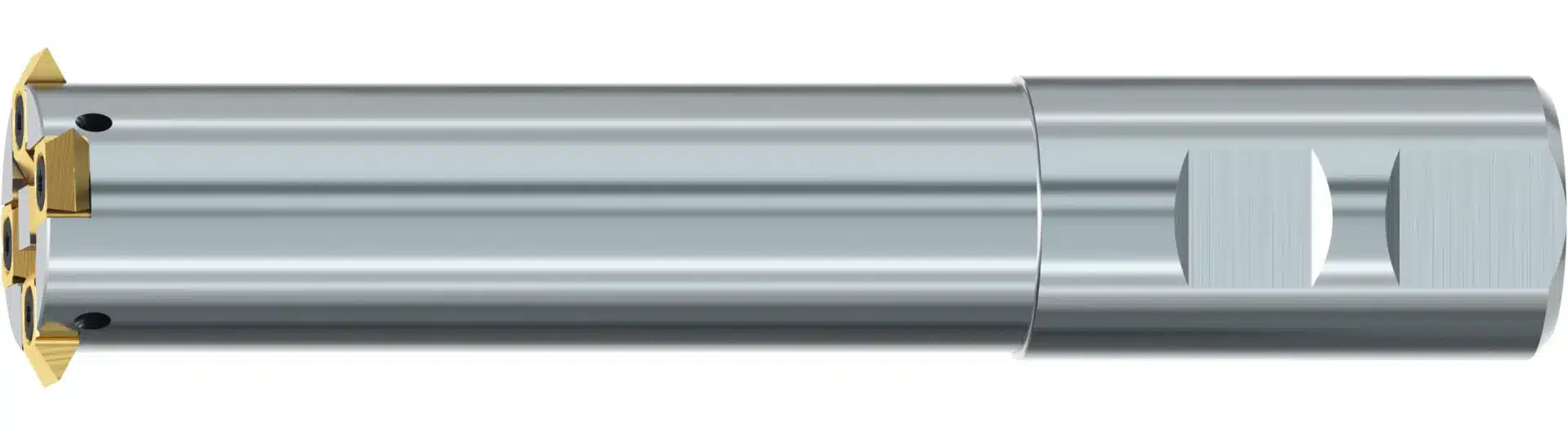 3D_Gigant-ic-Gr_12-13-IKZN-B-TIN-9-1