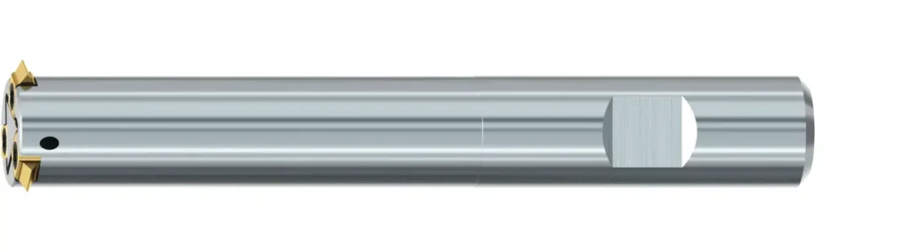 3D_Gigant-ic-Gr_10-IKZN-B-TIN-1-1