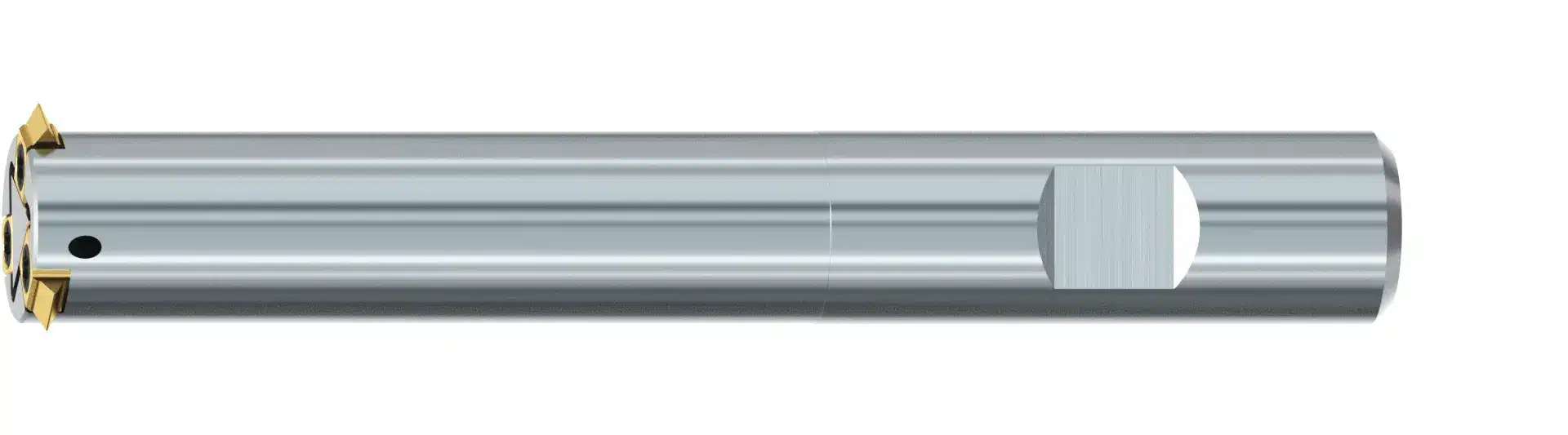 3D_Gigant-ic-Gr_10-IKZN-B-TIN-2