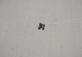 PHOTO BY NICK_LEWENDON Z5